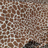 Giraffe Print on Poly Spandex Fabric (Coffee/White) | (4 Way Stretch/Per Yard)