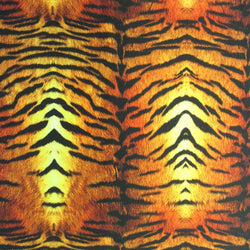 Classic Tiger Print on Poly Spandex Fabric | (4 Way Stretch/Per Yard)