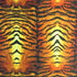 Classic Tiger Print on Poly Spandex Fabric | (4 Way Stretch/Per Yard)