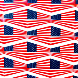 Skewed USA Flag Print on Poly Spandex Fabric | (4 Way Stretch/Per Yard)