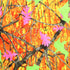 Pink and Orange Mossy Oak Print on Poly Spandex Fabric | (4 Way Stretch/Per Yard)