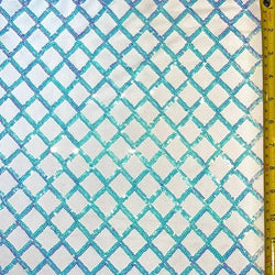 Chain link Sequins on See Through Mesh Fabric | (Non Stretch/Per Yard)