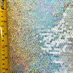 Holographic Sequins on Nylon Mesh Fabric | (4 Way Stretch/Per Yard)