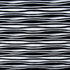 Exotic Zebra Print on Polyester Spandex Fabric (White/Black) | (2 Way Stretch/Per Yard)