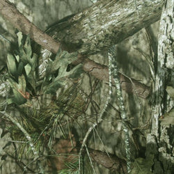 Mossy Oak Camouflage Printed on Poly Spandex Fabric | (4 Way Stretch/Per Yard)