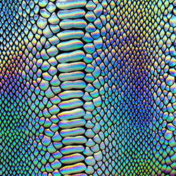Holographic Ombre Snake Skin Print on Nylon Spandex Fabric (Silver/Black) | (4 Way Stretch/Per Yard)