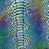Holographic Ombre Snake Skin Print on Nylon Spandex Fabric (Silver/Black) | (4 Way Stretch/Per Yard)