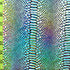 Holographic Ombre Snake Skin Print on Nylon Spandex Fabric (Silver/Black) | (4 Way Stretch/Per Yard)