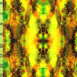 Kaleidoscope print with a ruler for pattern size reference.