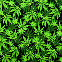 Fresh Cannabis Print on Poly Spandex Fabric | (4 Way Stretch/Per Yard)