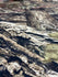 Mossy Oak Camouflage Printed on Poly Spandex Fabric | (4 Way Stretch/Per Yard)
