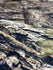 Mossy Oak Camouflage Printed on Poly Spandex Fabric | (4 Way Stretch/Per Yard)
