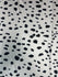 Dalmatian Print on Poly Spandex Fabric | (4 Way Stretch/Per Yard)