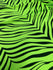 Exotic Zebra Print on Nylon Spandex Fabric (Neon Green) | (4 Way Stretch/Per Yard)
