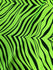 Exotic Zebra Print on Nylon Spandex Fabric (Neon Green) | (4 Way Stretch/Per Yard)