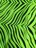 Exotic Zebra Print on Nylon Spandex Fabric (Neon Green) | (4 Way Stretch/Per Yard)