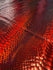Holographic Ombre Snake Skin Print on Nylon Spandex Fabric (Red/Black) | (4 Way Stretch/Per Yard)