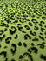 Leopard Print with Neon Green Glitter on Neon Green Stretch Mesh Fabric | (2 Way Stretch/Per Yard)