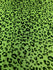 Leopard Print with Neon Green Glitter on Neon Green Stretch Mesh Fabric | (2 Way Stretch/Per Yard)