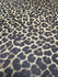 Leopard Print on Poly Mesh Fabric | (4 Way Stretch/Per Yard)