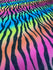 Rainbow Zebra Print on Lightweight Poly Spandex Fabric (Rainbow) | (2 Way Stretch/Per Yard)