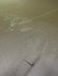 Stretch Sheer Mesh Fabric (Olive Green) | (4 Way Stretch/Per Yard)