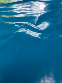 Solid Color Poly Vinyl Fabric (Mallard) on White Backing | (4 Way Stretch/Per Yard)