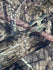 Mossy Oak Camouflage Printed on Poly Spandex Fabric | (4 Way Stretch/Per Yard)
