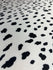 Dalmatian Print on Poly Spandex Fabric | (4 Way Stretch/Per Yard)