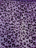 Leopard Print with Purple Glitter on Stretch Mesh Fabric | (2 Way Stretch/Per Yard)