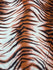 Exotic Tiger Print on Poly Spandex Fabric | (4 Way Stretch/Per Yard)