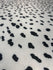 Dalmatian Print on Poly Spandex Fabric | (4 Way Stretch/Per Yard)