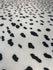 Dalmatian Print on Poly Spandex Fabric | (4 Way Stretch/Per Yard)