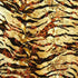 Safari Zebra Print on Burnout Velvet Fabric (Gold) | (2 Way Stretch/Per Yard)
