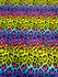 Rainbow Leopard Print on Poly Spandex Fabric | (4 Way Stretch/Per Yard)