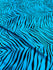Exotic Zebra Print on Nylon Spandex Fabric (Tropical Turquoise) | (4 Way Stretch/Per Yard)