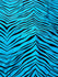 Exotic Zebra Print on Nylon Spandex Fabric (Tropical Turquoise) | (4 Way Stretch/Per Yard)