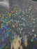 Silver & Light Blue Shattered Glass w/ Holographic Foil Spandex Fabric | (4 Way Stretch/Per Yard)