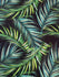 Palm Leaves Print on Poly Spandex Fabric | (4 Way Stretch/Per Yard)