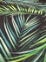 Palm Leaves Print on Poly Spandex Fabric | (4 Way Stretch/Per Yard)