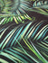 Palm Leaves Print on Poly Spandex Fabric | (4 Way Stretch/Per Yard)