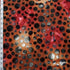 Safari Exotic's Burnout Leopard Spot Velvet Print Spandex (4 Way Stretch/Per Yard) | Multiple Colours