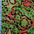 Safari Exotic's Burnout Leopard Spot Velvet Print Spandex (4 Way Stretch/Per Yard) | Multiple Colours