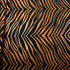 Safari Exotic's Metallic Foil Zebra Skin Print Spandex Fabric | (4 Way Stretch/Per Yard) | Multiple Colors