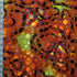 Safari Exotic's Burnout Leopard Spot Velvet Print Spandex (4 Way Stretch/Per Yard) | Multiple Colours
