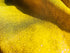 Purple Matrix Dot on Yellow Nylon Spandex Fabric | (4 Way Stretch/Per Yard)