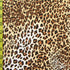 Leopard Print  on Poly Spandex Fabric | (4 Way Stretch/Per Yard)