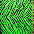 Exotic Zebra Print on Nylon Spandex Fabric (Neon Green) | (4 Way Stretch/Per Yard)