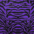 Exotic Tiger Print on Nylon Spandex Fabric (Purple/Black) | (4 Way Stretch/Per Yard)