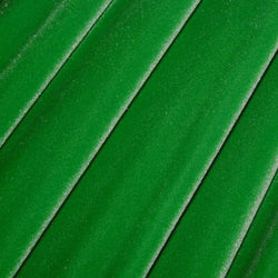 Solid Color Stretch Velvet Fabric (Kelly Green) | (4 Way Stretch/Per Yard)